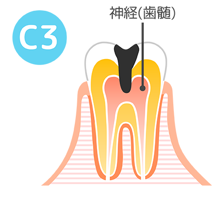 c3